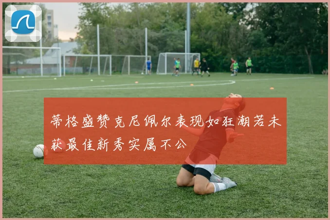 蒂格盛赞克尼佩尔表现如狂潮若未获最佳新秀实属不公