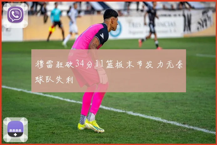 穆雷狂砍34分11篮板末节发力无奈球队失利