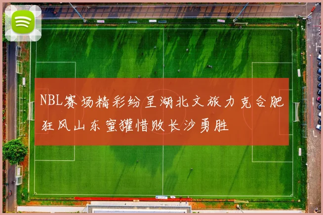 NBL赛场精彩纷呈湖北文旅力克合肥狂风山东蜜獾惜败长沙勇胜